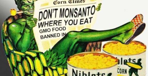 Monsanto - Πρόκειται για μια κερδοσκοπική εταιρία που παρασκευάζει δηλητηριώδη χημικά.